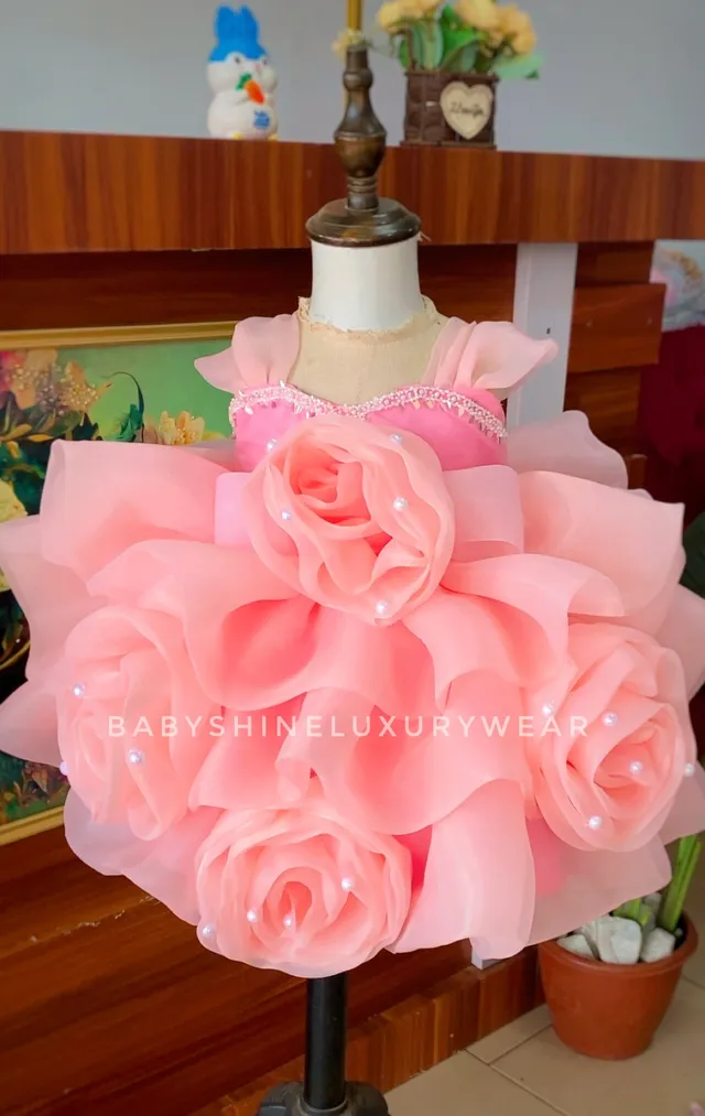 Peach Rose Dress
